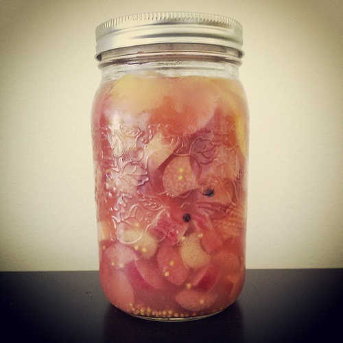 Rhubarb Pickle